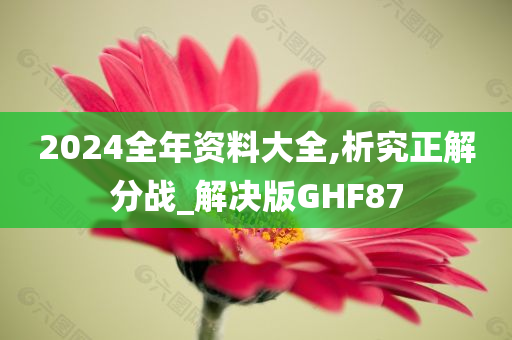 2024全年资料大全,析究正解分战_解决版GHF87