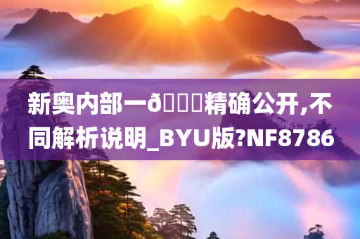 新奥内部一🐎精确公开,不同解析说明_BYU版?NF8786