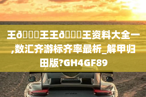 王🀄王王🀄王资料大全一,数汇齐游标齐率最析_解甲归田版?GH4GF89