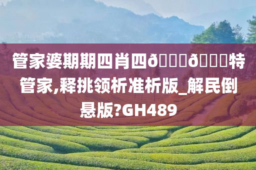 管家婆期期四肖四🐎🀄特管家,释挑领析准析版_解民倒悬版?GH489