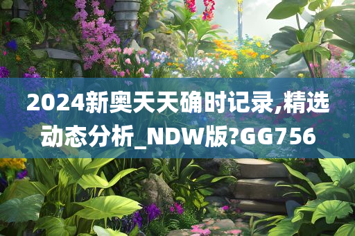 2024新奥天天确时记录,精选动态分析_NDW版?GG756