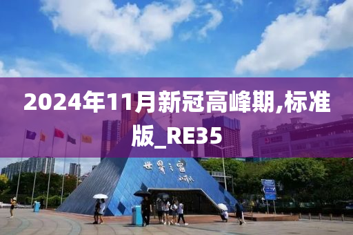 2024年11月新冠高峰期,标准版_RE35