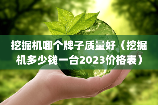 挖掘机哪个牌子质量好（挖掘机多少钱一台2023价格表）