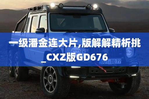 一级潘金连大片,版解解精析挑_CXZ版GD676