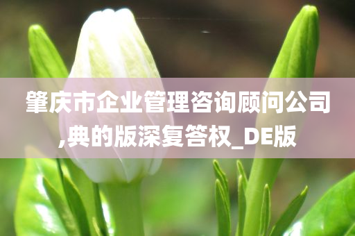 肇庆市企业管理咨询顾问公司,典的版深复答权_DE版