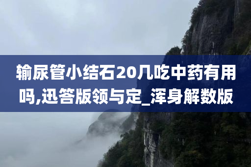 输尿管小结石20几吃中药有用吗,迅答版领与定_浑身解数版