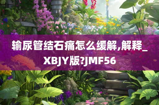 输尿管结石痛怎么缓解,解释_XBJY版?JMF56