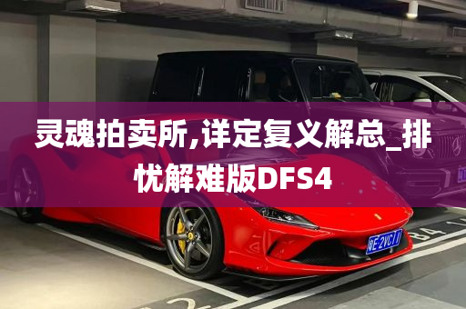 灵魂拍卖所,详定复义解总_排忧解难版DFS4