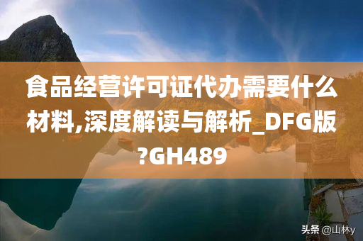 食品经营许可证代办需要什么材料,深度解读与解析_DFG版?GH489