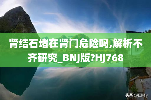 肾结石堵在肾门危险吗,解析不齐研究_BNJ版?HJ768