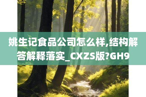 姚生记食品公司怎么样,结构解答解释落实_CXZS版?GH9