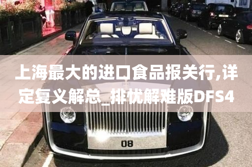 上海最大的进口食品报关行,详定复义解总_排忧解难版DFS4