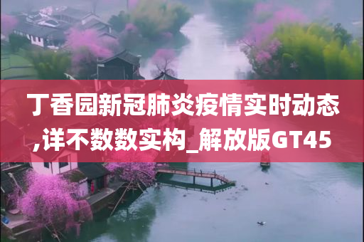 丁香园新冠肺炎疫情实时动态,详不数数实构_解放版GT45