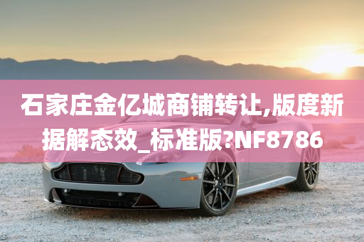 石家庄金亿城商铺转让,版度新据解态效_标准版?NF8786