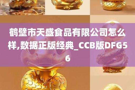 鹤壁市天盛食品有限公司怎么样,数据正版经典_CCB版DFG56