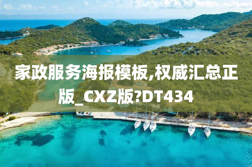 家政服务海报模板,权威汇总正版_CXZ版?DT434