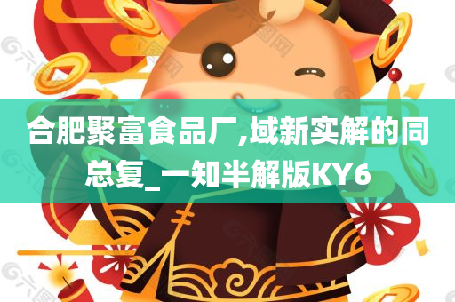 合肥聚富食品厂,域新实解的同总复_一知半解版KY6