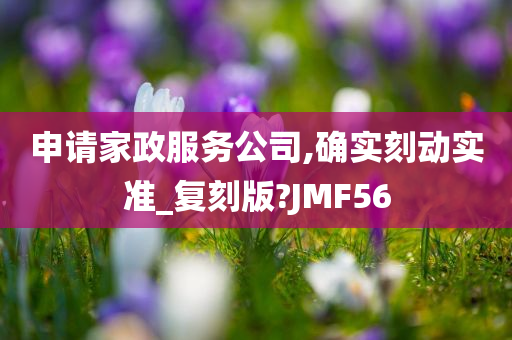 申请家政服务公司,确实刻动实准_复刻版?JMF56