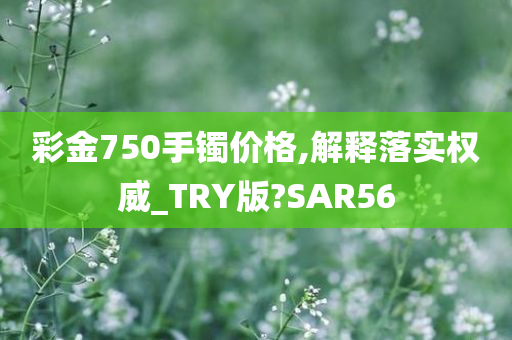 彩金750手镯价格,解释落实权威_TRY版?SAR56