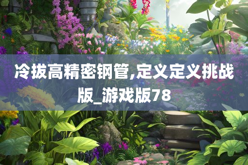 冷拔高精密钢管,定义定义挑战版_游戏版78