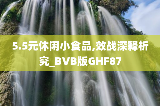 5.5元休闲小食品,效战深释析究_BVB版GHF87