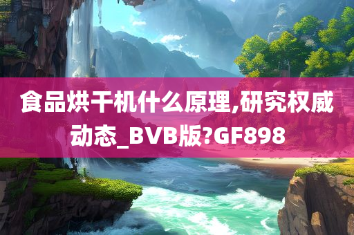 食品烘干机什么原理,研究权威动态_BVB版?GF898