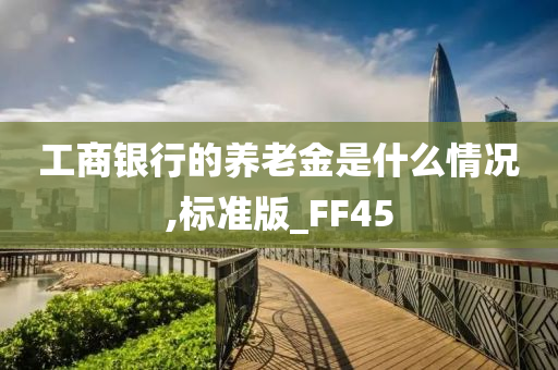 工商银行的养老金是什么情况,标准版_FF45