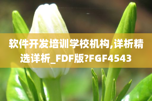 软件开发培训学校机构,详析精选详析_FDF版?FGF4543