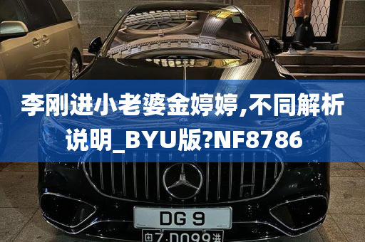 李刚进小老婆金婷婷,不同解析说明_BYU版?NF8786