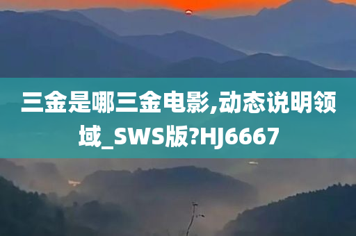 三金是哪三金电影,动态说明领域_SWS版?HJ6667