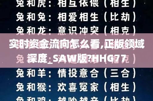 实时资金流向怎么看,正版领域深度_SAW版?HHG77