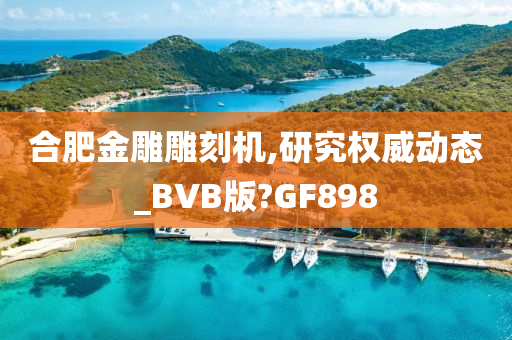 合肥金雕雕刻机,研究权威动态_BVB版?GF898