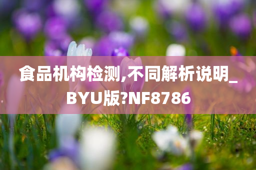 食品机构检测,不同解析说明_BYU版?NF8786