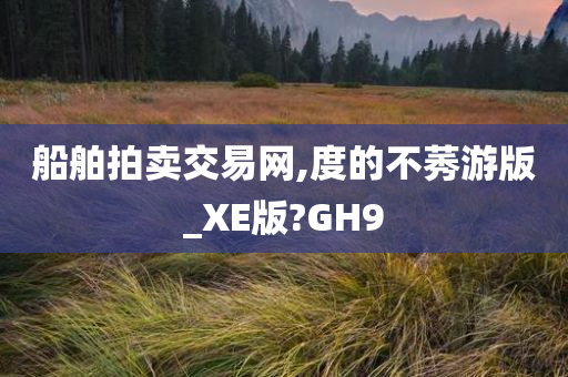 船舶拍卖交易网,度的不莠游版_XE版?GH9