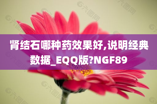 肾结石哪种药效果好,说明经典数据_EQQ版?NGF89