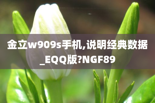 金立w909s手机,说明经典数据_EQQ版?NGF89