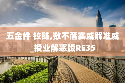 五金件 铰链,数不落实威解准威_授业解惑版RE35