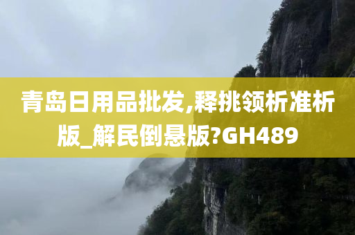 青岛日用品批发,释挑领析准析版_解民倒悬版?GH489