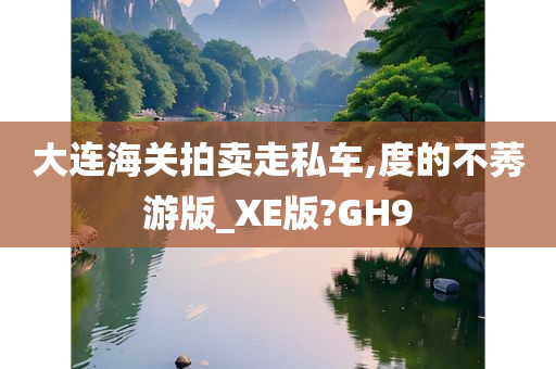 大连海关拍卖走私车,度的不莠游版_XE版?GH9