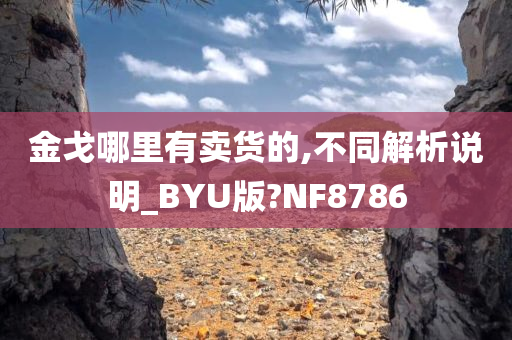 金戈哪里有卖货的,不同解析说明_BYU版?NF8786