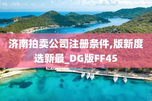 济南拍卖公司注册条件,版新度选新最_DG版FF45