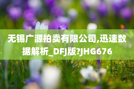 无锡广源拍卖有限公司,迅速数据解析_DFJ版?JHG676