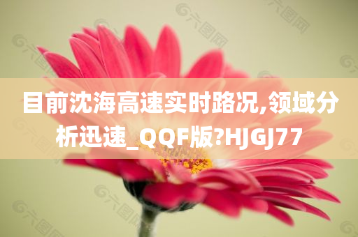 目前沈海高速实时路况,领域分析迅速_QQF版?HJGJ77