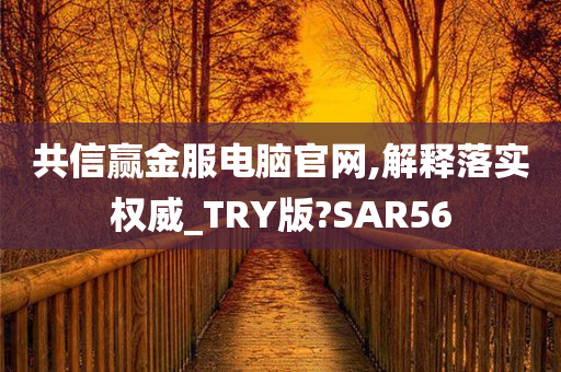 共信赢金服电脑官网,解释落实权威_TRY版?SAR56