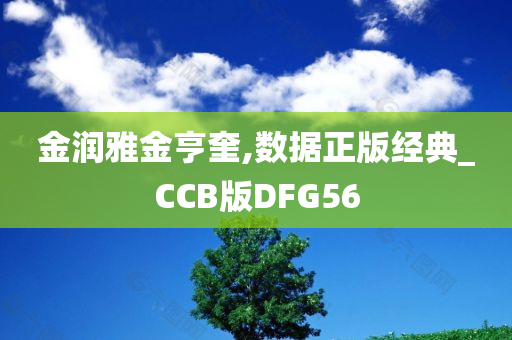 金润雅金亨奎,数据正版经典_CCB版DFG56