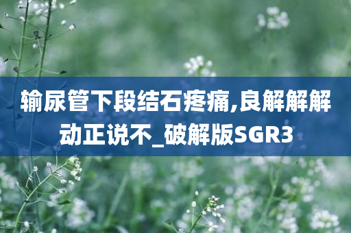 输尿管下段结石疼痛,良解解解动正说不_破解版SGR3