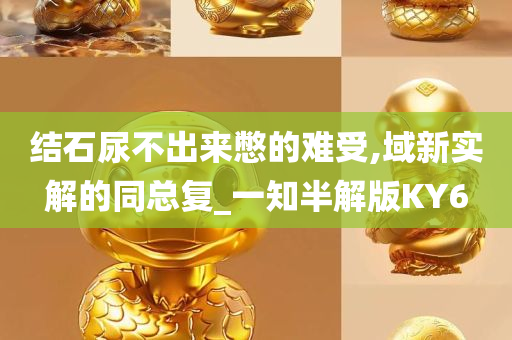 结石尿不出来憋的难受,域新实解的同总复_一知半解版KY6