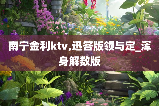 南宁金利ktv,迅答版领与定_浑身解数版