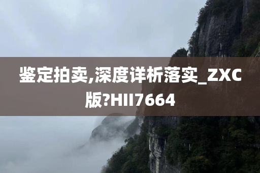 鉴定拍卖,深度详析落实_ZXC版?HII7664