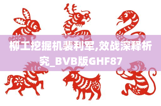 柳工挖掘机裴利军,效战深释析究_BVB版GHF87